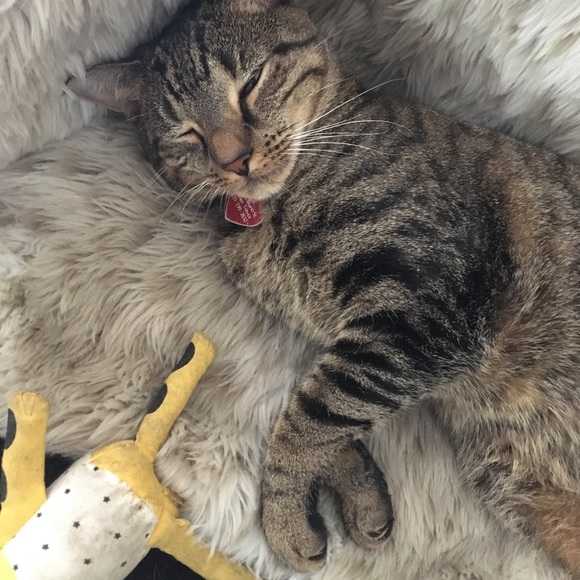 Meet your Posher, Gina - Picture 2 of 13